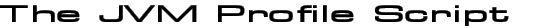 The JVM Profile Script